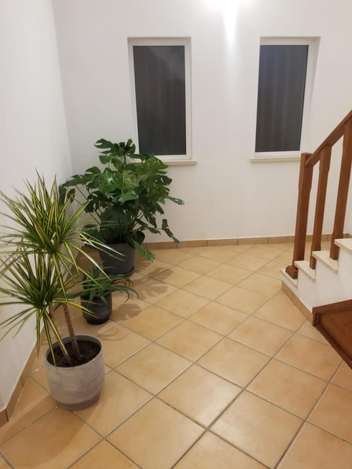 Ferienwohnung Le Parisien 1 Serra d'El-Rei Exterior foto